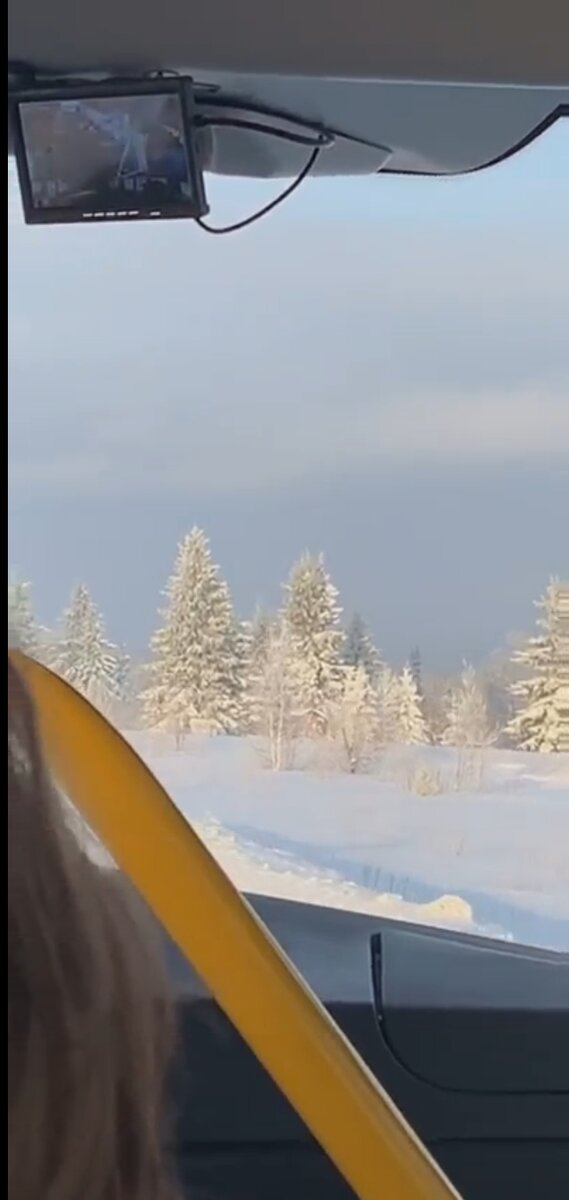 Из окна автобуса 