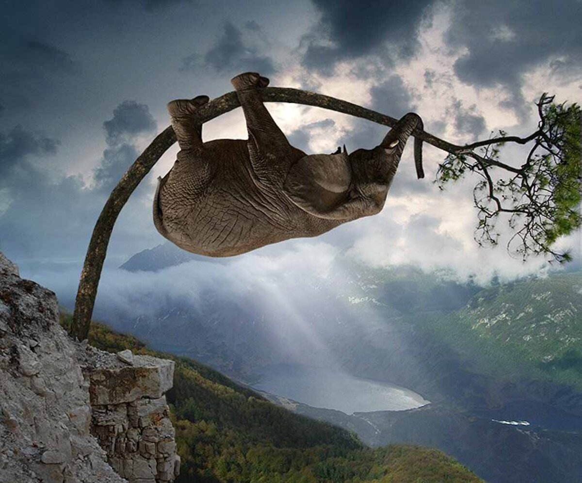 Иногда нужно просто верить, чтоб увидеть то, что не доступно взору и совершить то, что доступно только человеку в Духе. Чудеса случаются там, где в них верят. 