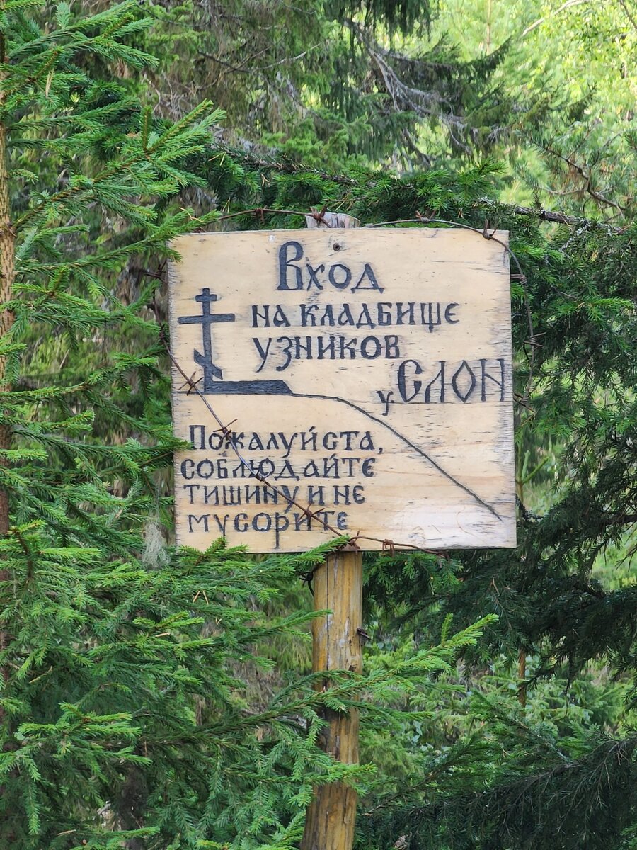 Антикварные кольца изумруд. Перстень легионера. Старинные кольца с камнями. Старинное кольцо с изумрудом. Дзен рассказы кольцо.