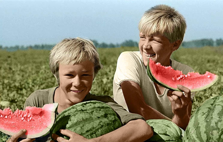 Тест для тех, кто не забыл СССР. Ответьте на 10 вопросов, если помните это время