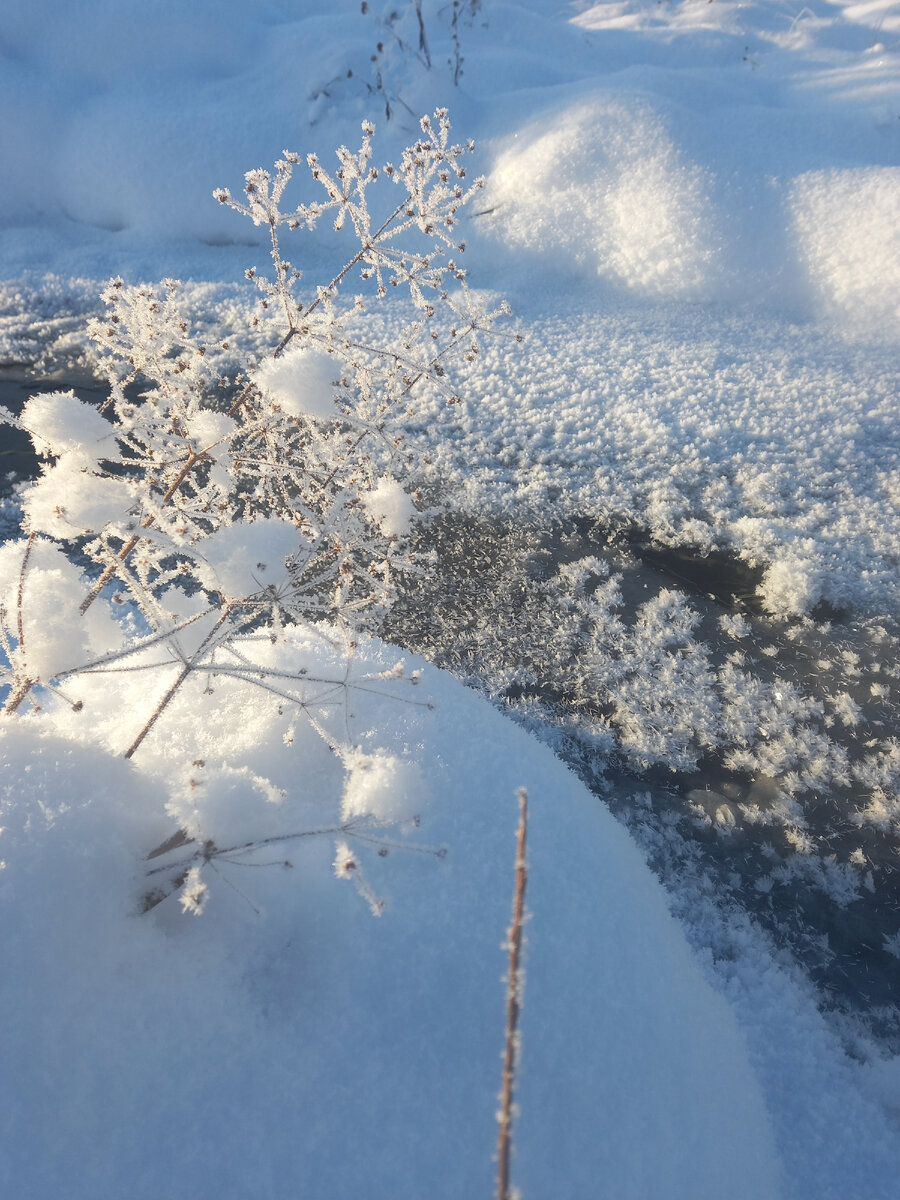 1. Узоры на ручье.