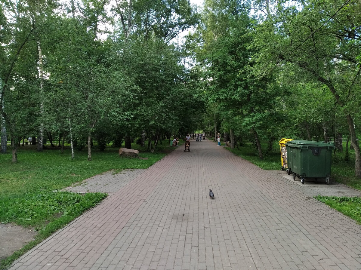 Берёзовая роща в ростовской области. Березовая роща пермь. Березовая роща таруса. Тополя лесополосы. Заказник линдуловская роща.