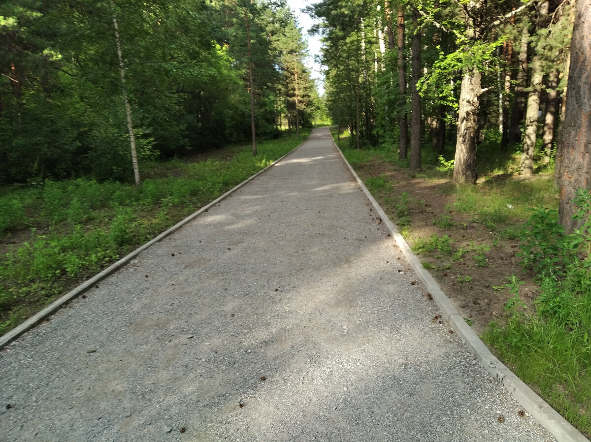 Экотропы в Заельцевском парке.