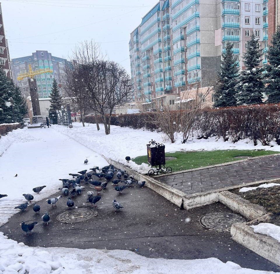 А вот здесь уже поинтереснее