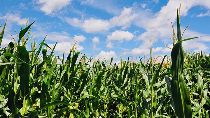 Лежать на широте. Лежать на широте. Экватор меридиан параллель. Лежать на широте. Широта точки.