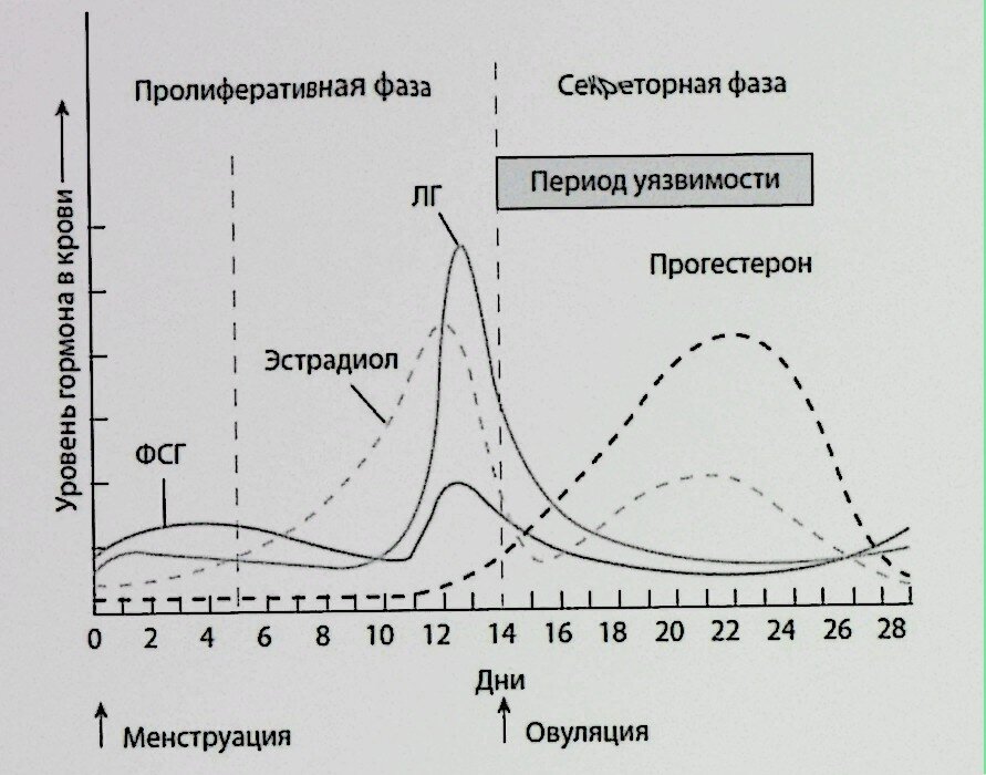 40 циклов