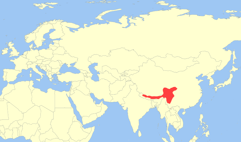 Красным обозначено место обитания красных панд