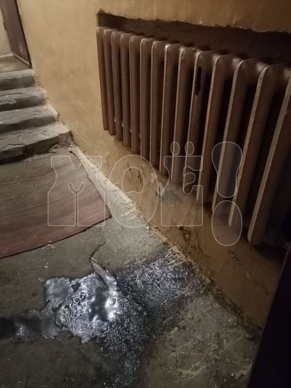      читательница «МОЁ!»