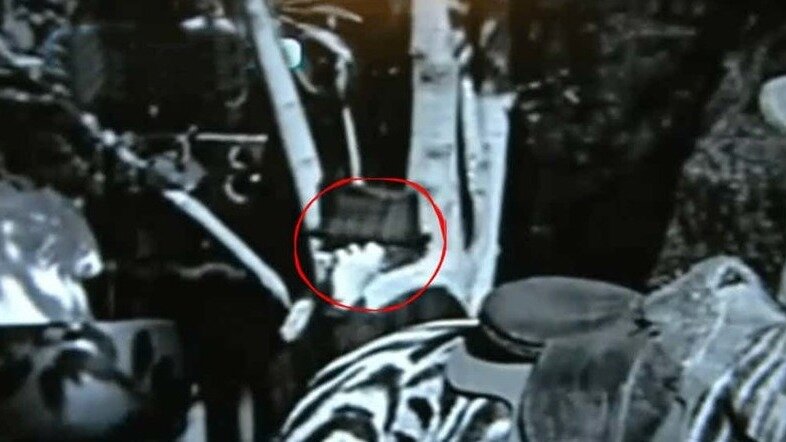 Лев меланист. Что либо доказывает. Что либо доказывает. Что либо доказывает. Полное отсутствие кому то что то доказать является.