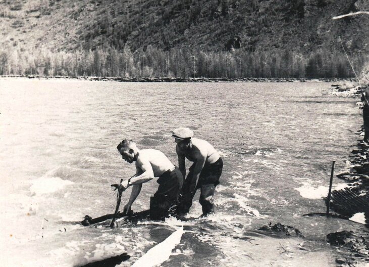 Рис. 2 Ловля рыбы бреднем. Река Эмтегей, 1964 год. Автор фото — Голубев В. П.
