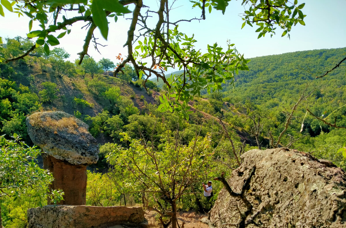 В природе есть душа, незримая для глаз.  И мы порой, увы, не ценим её благо.Срываем на ходу, бездумно, каждый раз,  Цветы и травы, чтоб украсить ими вазы. А сколько их лежит, истлевшая трава,  На клумбах городских, вдоль улиц и бульваров.Природа не простит нам этой чепухи.  Она бесследно всё сотрёт с лица планеты, Но нам она нужна, как воздух и вода.  Как солнце, ветер, дождь и голубые реки.