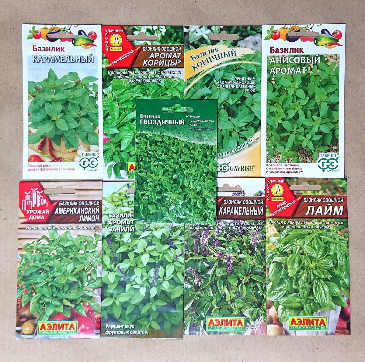 Роль птиц в жизни человека презентация. Господствующее положение млекопитающих. Равновесие в лесу текст. Актуальная роль. Благодаря разнообразию.