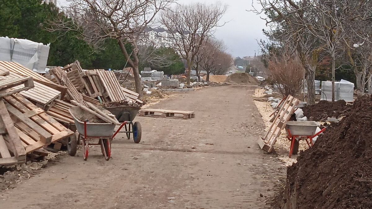 Жители в роще гузовского. Усталая она не могла идти дальше. Входишь в рощу. План роща гузовского. Границы предложения 2 класс.