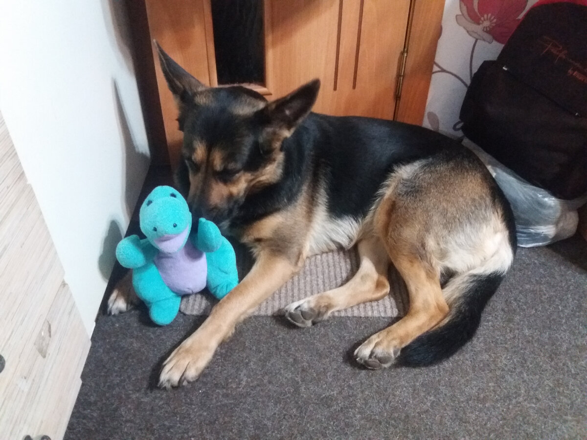 Фото автора