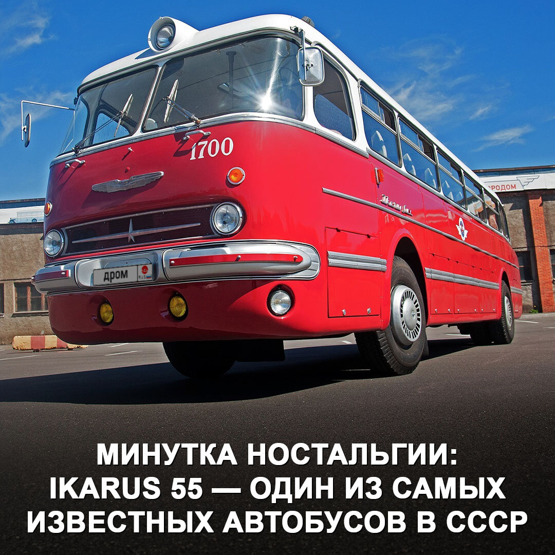 Ikarus 55 — один из самых красивых автобусов в мире. Осторожно, у некоторых  после прочтения может свести олдскулы! | Дром | Дзен