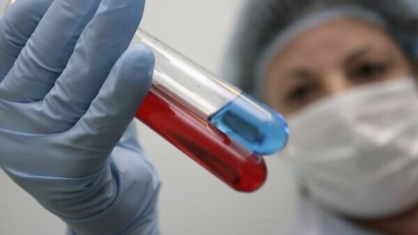    © Sputnik / Сергей Венявский