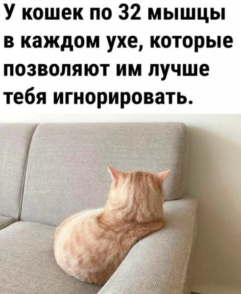 Ну встреть