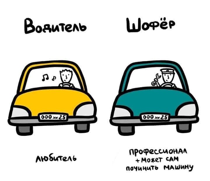 шофер и водитель