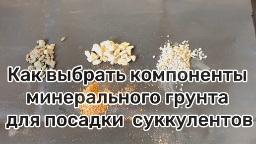 Тестирую компоненты минерального грунта для посадки суккулентов