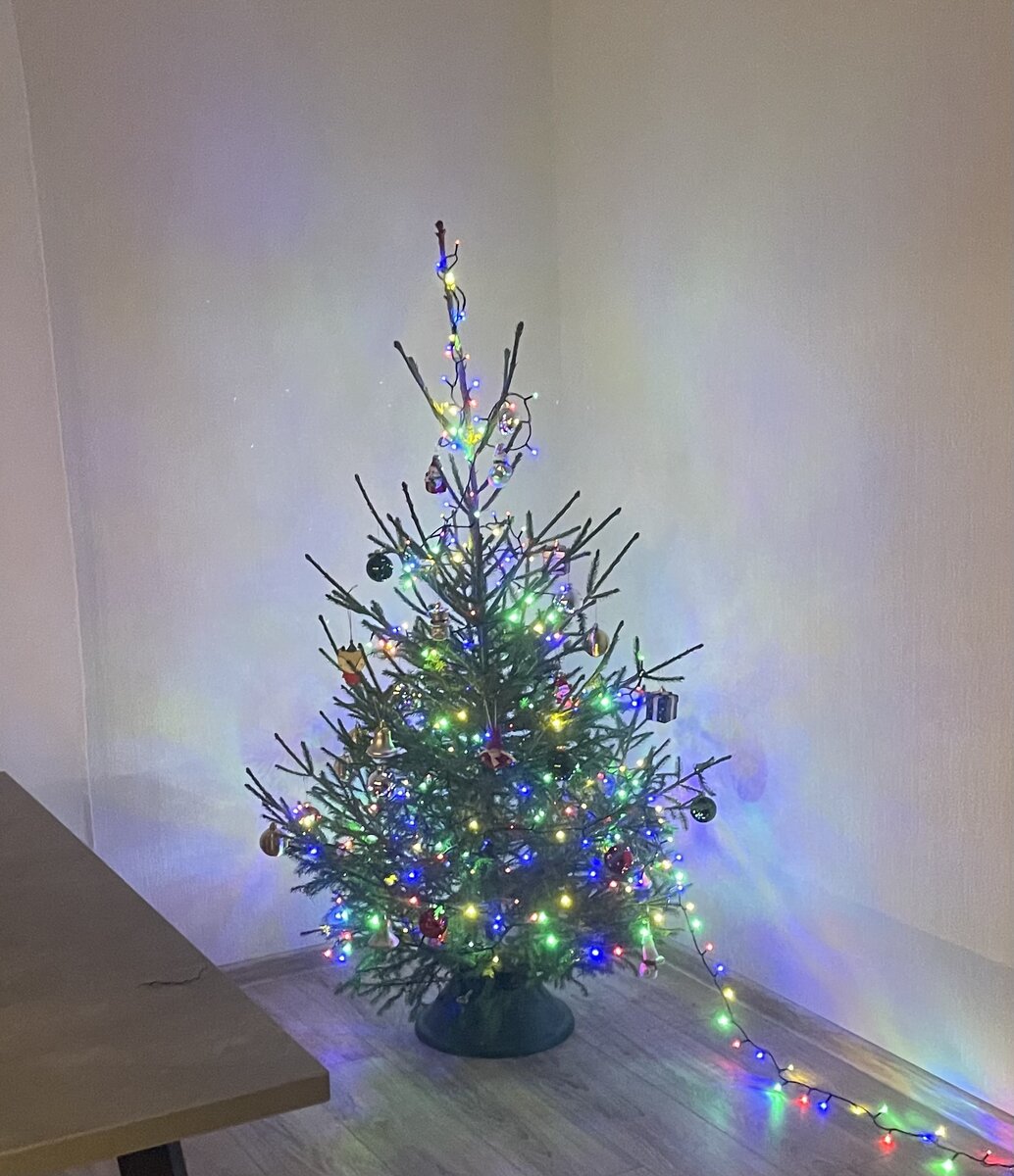 Наша елка 🎄 