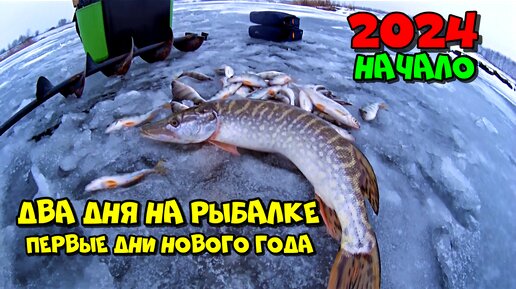 Начало 2024 года. Два дня на рыбалке.