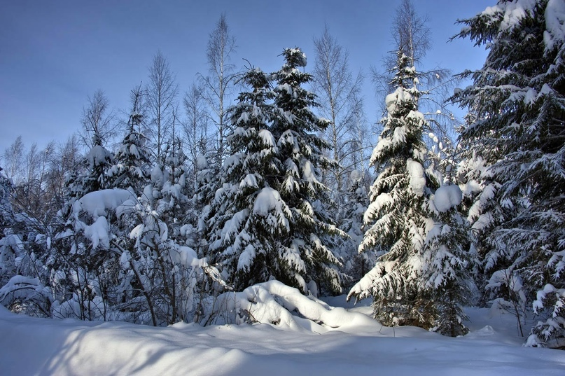 Фото с интернета в свободном доступе