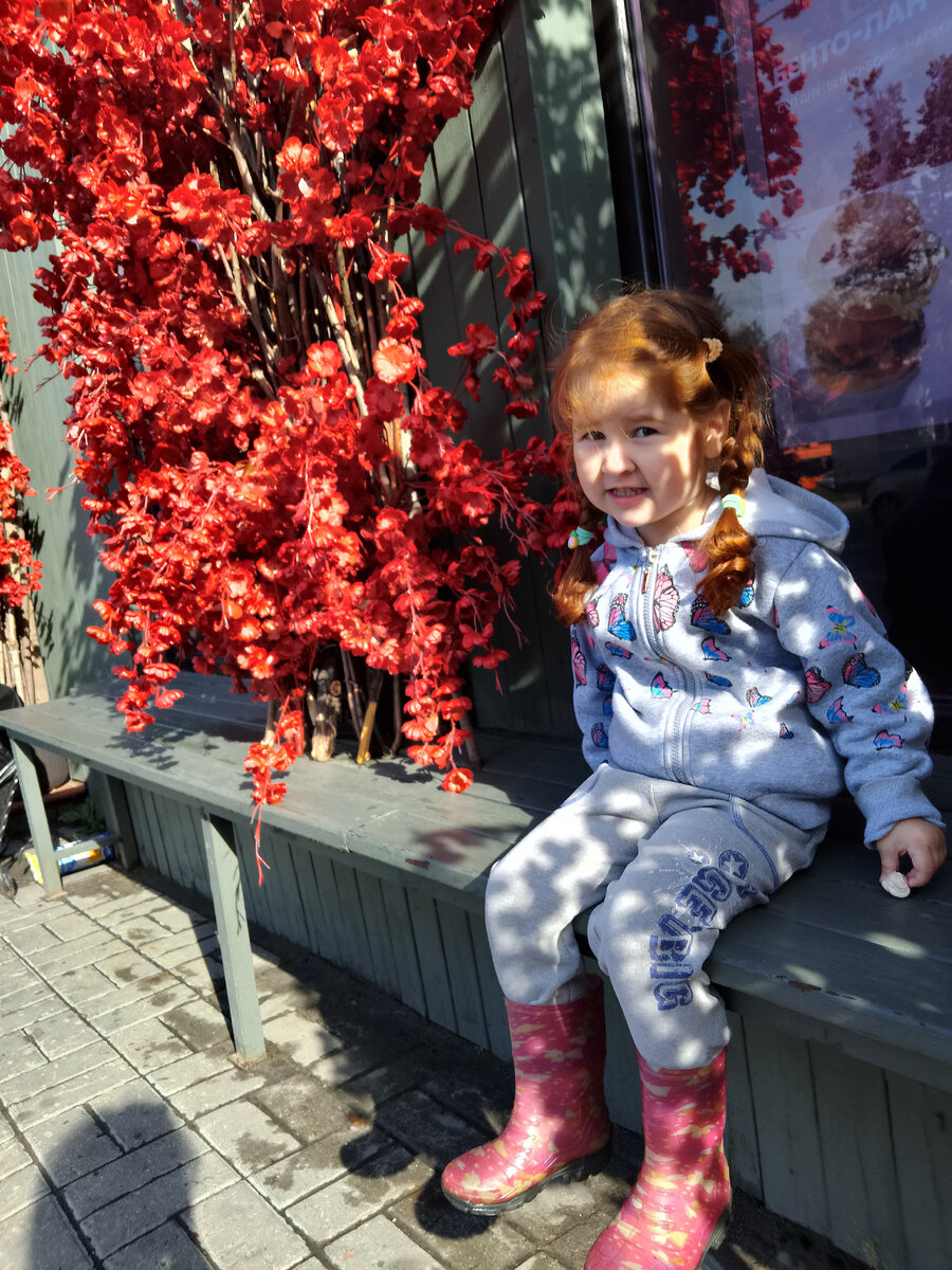 Фото со времен ранней осени. Как выяснилось свежие фото Алисы закончились. 