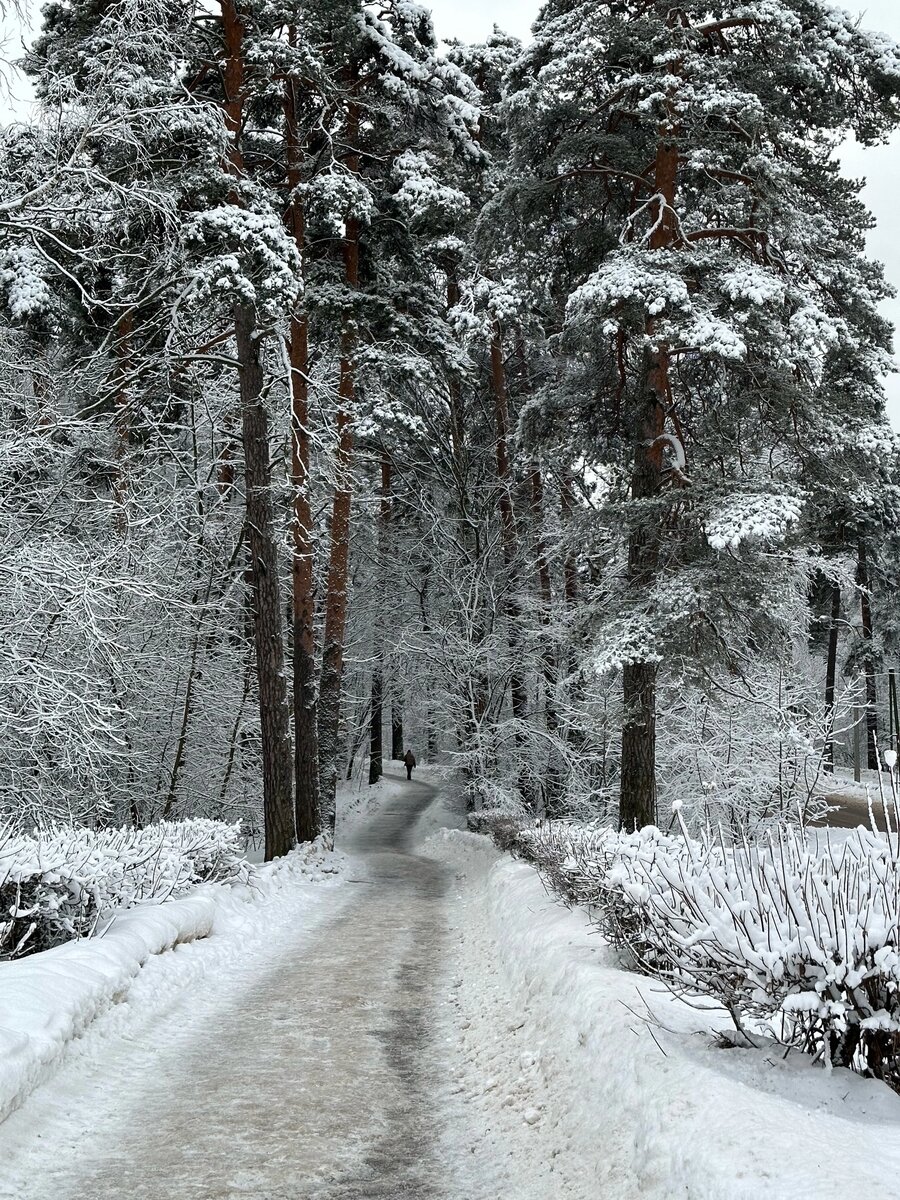 Мой заснеженный город. Дорога на ЖД - станцию, а кажется, что в сказку.