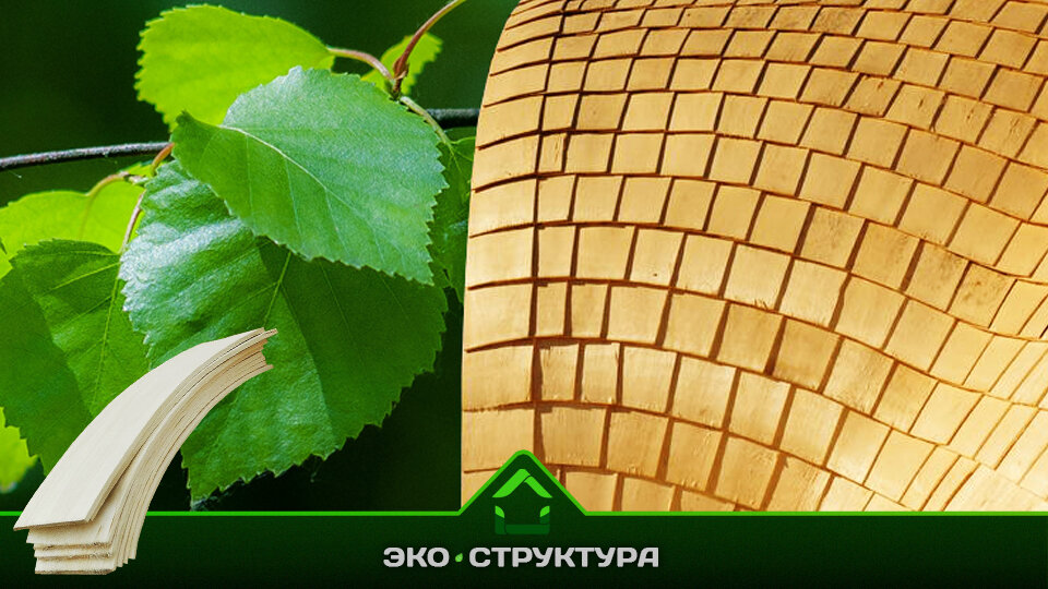 Дранка из осины