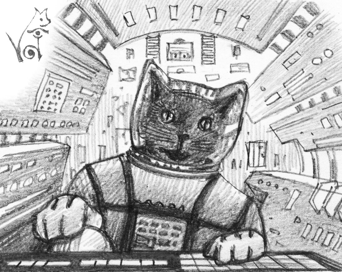 Cats in Space!