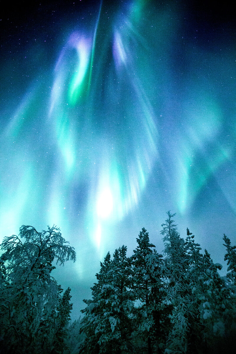 11 января – первое Новолуние 2024 года. Как оно повлияет на знаки зодиака |  Гороскопы от Астролога | Дзен