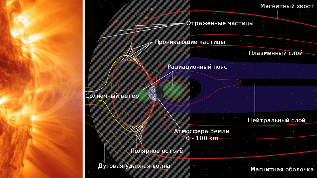 Так выглядит геомагнитное поле Земли и его взаимодействие с солнечным ветром. Источник: https://nplus1.ru/