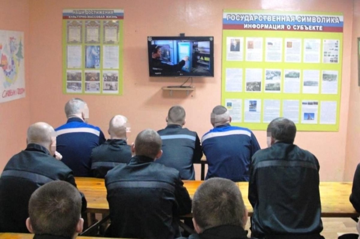    В Мурманской области осуждённым разъяснили закон о пробации