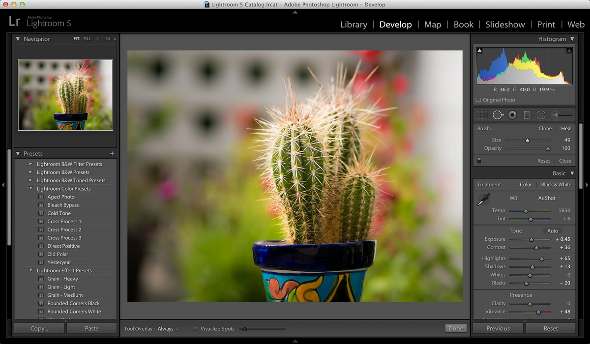 Adobe libraries. Adobe Photoshop Lightroom. Фотошоп лайтрум. Программа лайтрум. Adobe Lightroom и Adobe Photoshop.