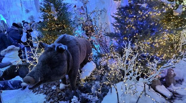 Фото автора