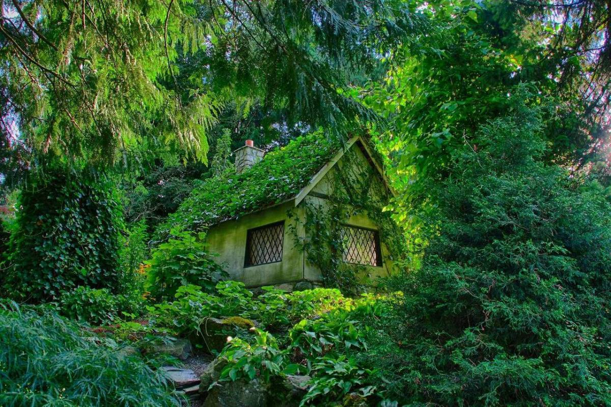 Домик в лесу летом. Хижина гномов, Британская Колумбия. Сказочный домик. Маленький домик. Домик в лесу.