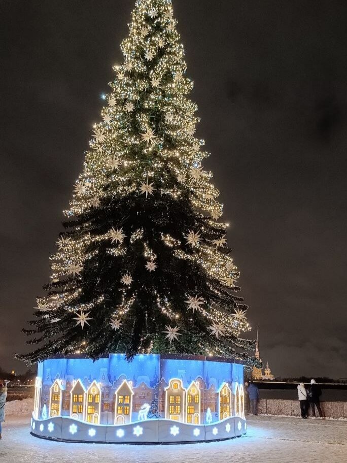 Главное украшение Стрелки Васильевского острова. Фото автора канала Питер на все случаи жизни.
