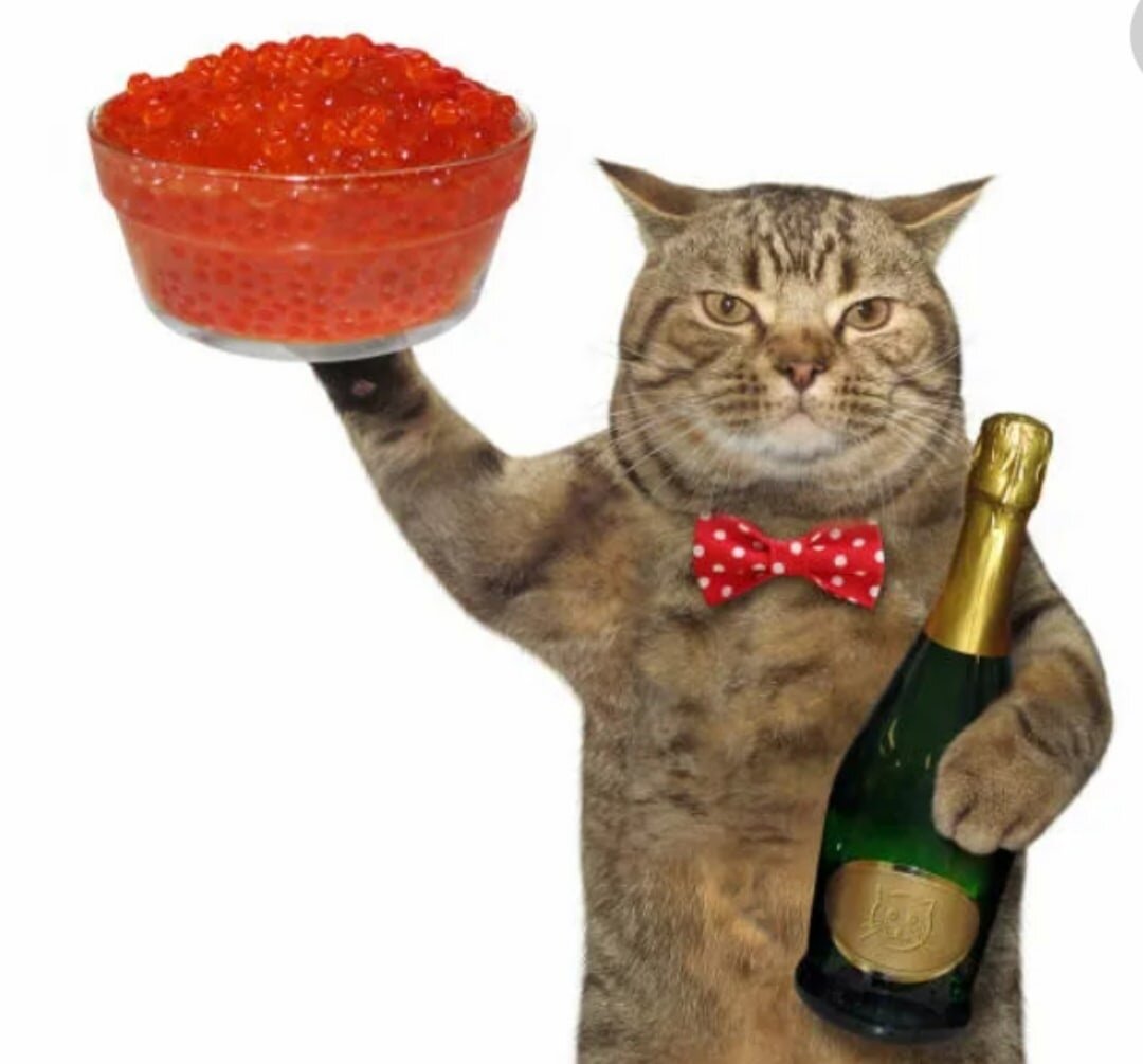 Фото из инета.