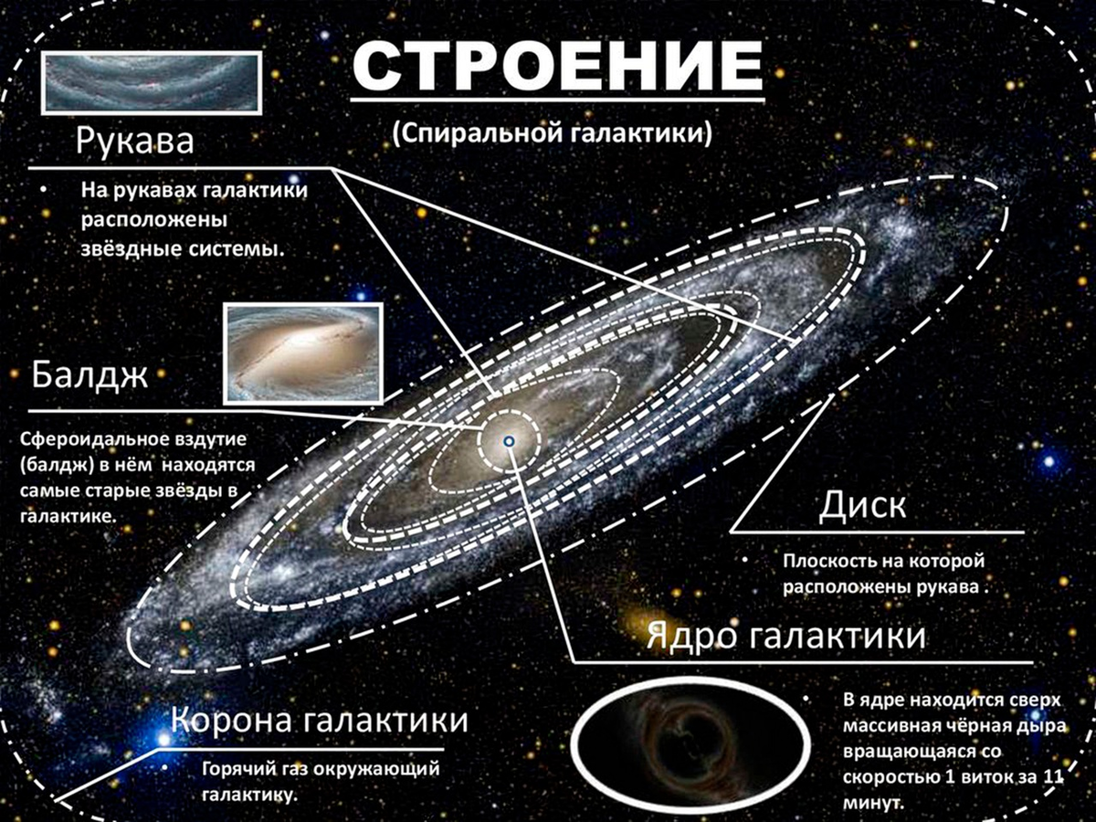 Наша галактика млечный путь состоит из. Строение Галактики Млечный путь схема вид сбоку. Строение Галактики Балдж. Строение Галактики схема Балдж. Спиральная структура Млечного пути.