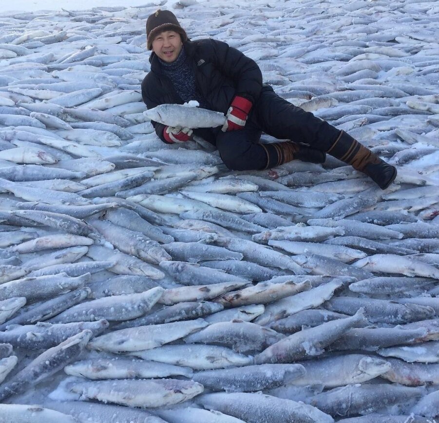    Любовь к рыбалке у путешественника в крови. Фото: Из личного архивa/ архив Германа Арбугаева