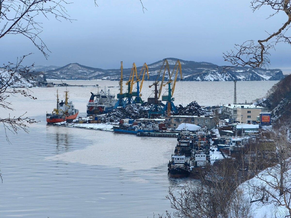 Здравница петропавловск камчатский