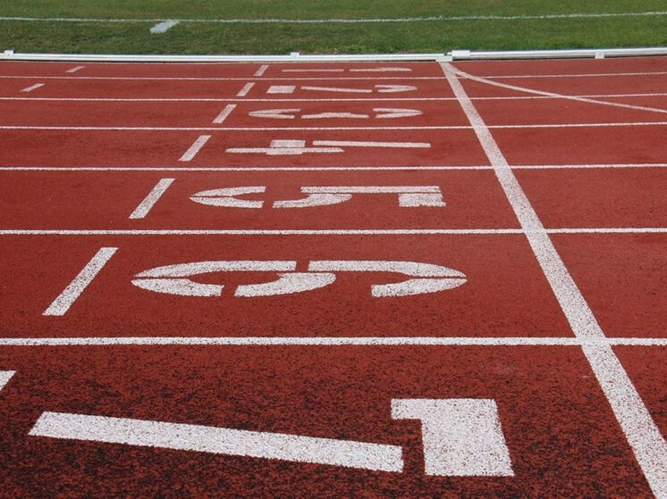     Фото: pixabay.com