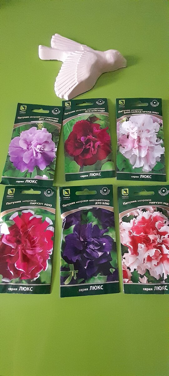 Все 6 купленных мной сортов 