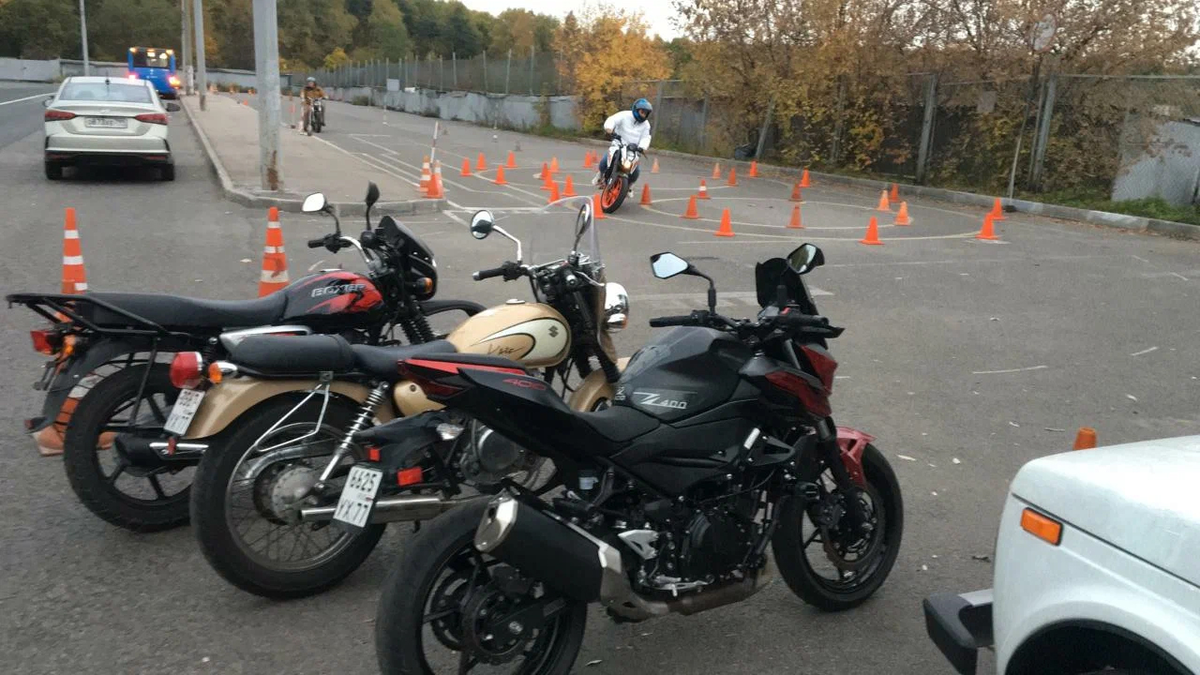 Фотография взята из источника allyanz.ru