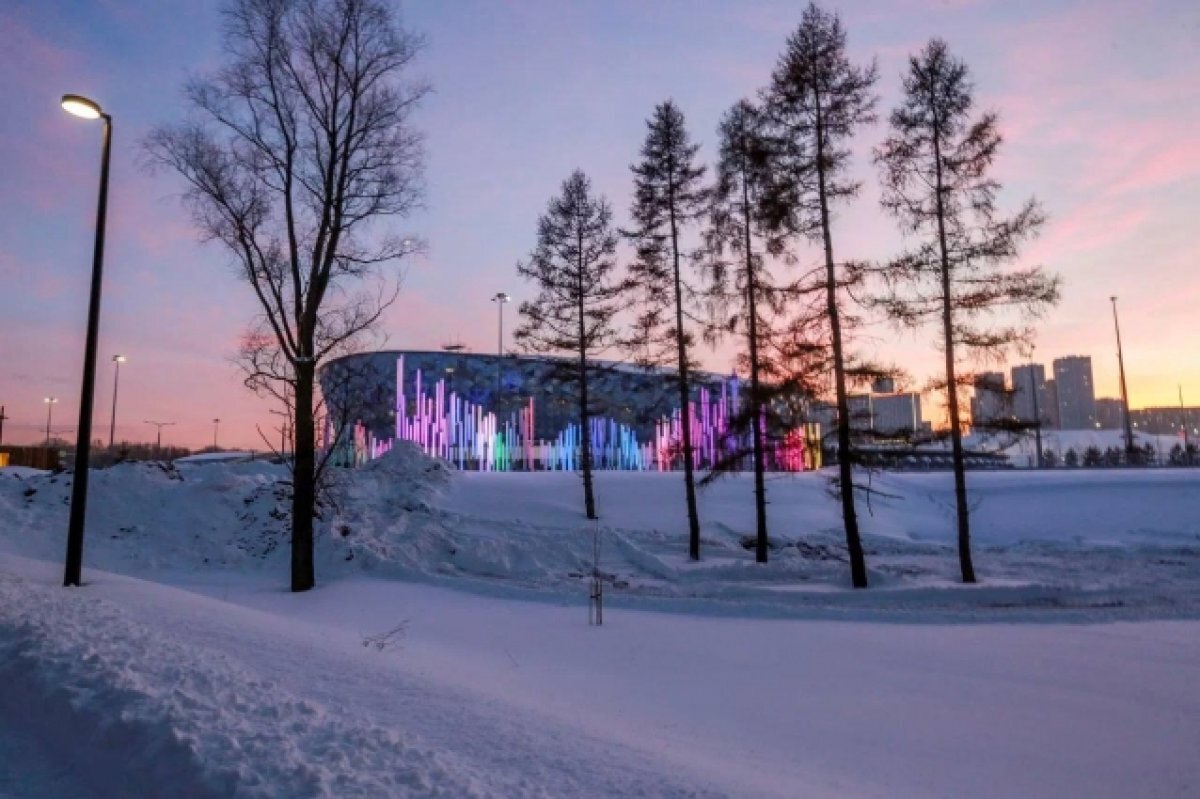    Конкурс снежной скульптуры стартовал в новосибирском парке «Арена»