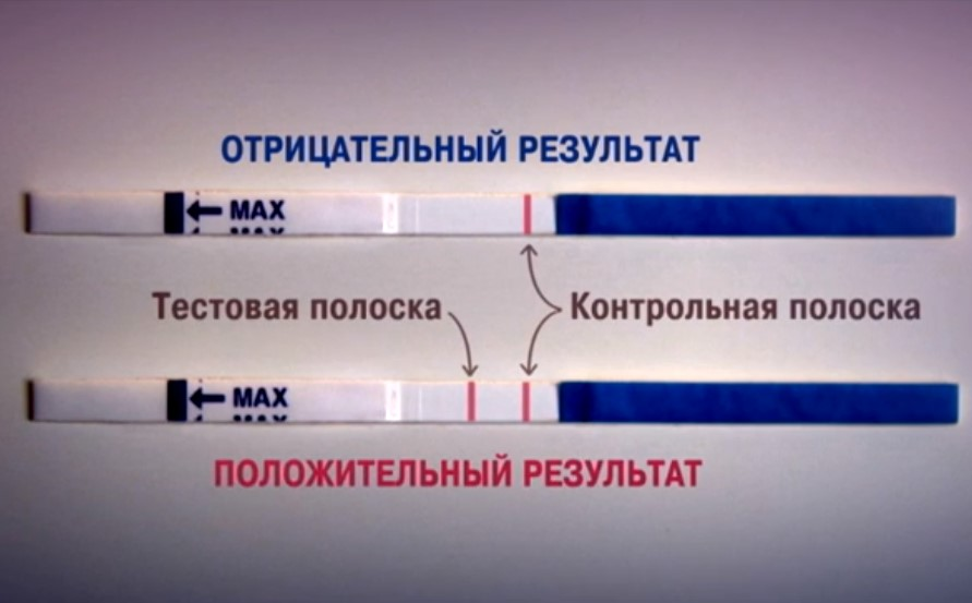 Два теста показали беременность