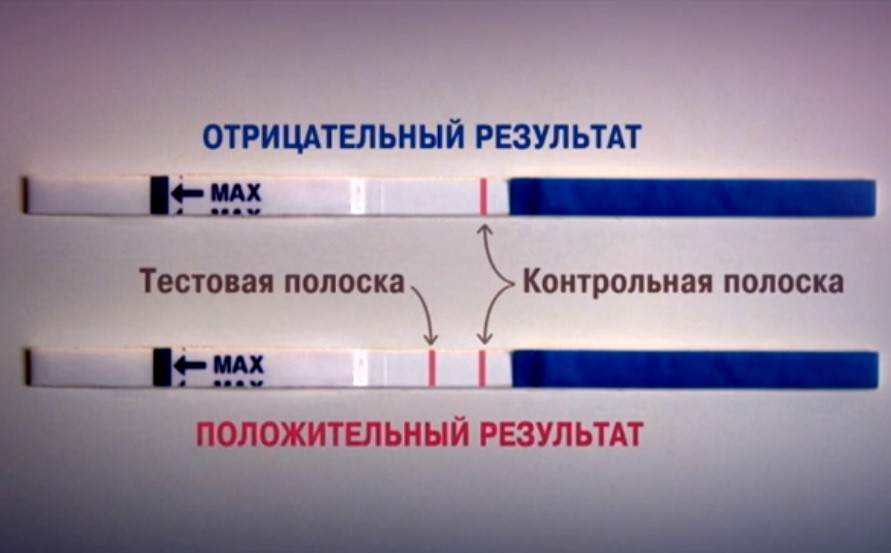 Насколько точны тесты. Как должен выглядеть отрицательный тест на беременность. Тест на ь. Тест набеременать. Ван тест на беременность.