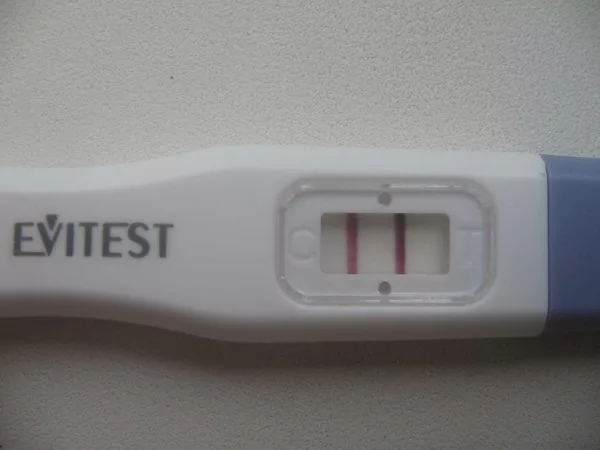 Содержание теста на беременность