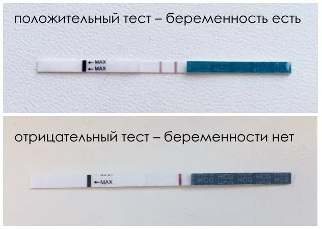 Через сколько можно делать на беременность