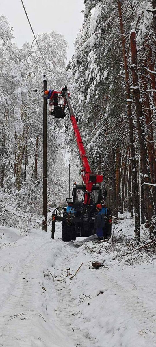 «Чуть на тот свет не отправилась» — Белорусы показали последствия ледяного дождя на Брестчине — Видео